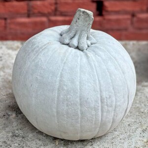 May include: A light gray pumpkin with a textured surface and a detailed stem. The pumpkin is round with vertical ridges, perfect for fall decor. The background features a red brick wall.
