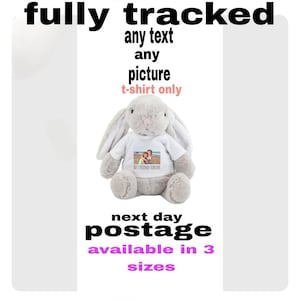 personalised teddy bear t-shirt