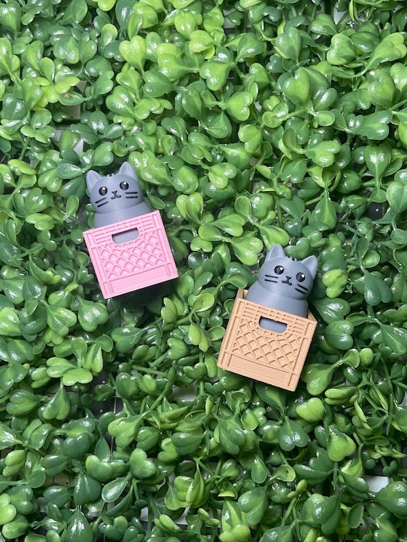 Cat Clicker Fidget Toy | ASMR, Anxiety Relief