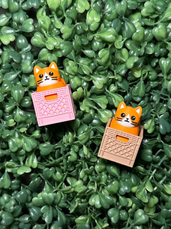 Orange Kitty Clicker Fidget Toy: ASMR Anxiety Relief