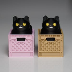 Juguete fidget con clicker de gato negro: alivio de la ansiedad ASMR