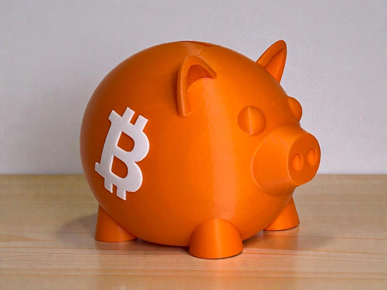 3d Printed Piggy Bank - Etsy