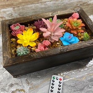 Faux Succulent Arrangement: Lighted Wall Garden Centerpiece