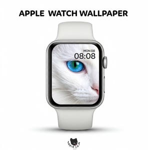Quadrante dell'orologio, sfondo dell'Apple Watch, quadrante dell'Apple Watch, sfondo dell'orologio, quadrante estetico dell'Apple Watch, sfondo dello smartwatch, sfondo del gatto