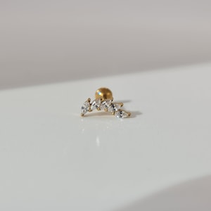 The Dylan 18k Gold Plated Stainless Steel Cubic Zirconia Leaf Ear Climber Cartilage Lobe Stud Earring.