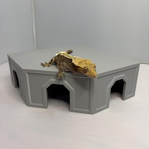 May include: A gray, hexagonal reptile platform with arched openings. A brown and tan gecko rests on the platform's surface. The platform is designed for reptile habitats and terrariums.