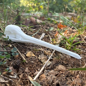May include: A white, elongated bird skull featuring a smooth, curved cranium and a long, pointed beak. The skull is positioned horizontally, showcasing its distinct anatomical structure, including the eye sockets and the narrow, tapering bill.