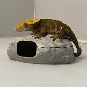 3D Printed Reptile Rock Hide, Naturalistic Cave Decor