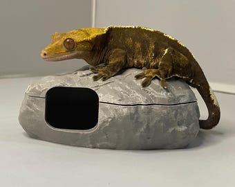 3D Printed Reptile Rock Hide, Naturalistic Cave Decor