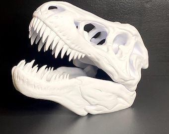 Model Tyrannosaurus skull 3d printed decor
