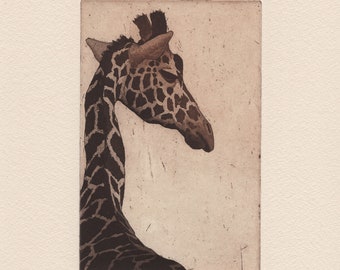 Self worth / Original aquatint etching print with a giraffe