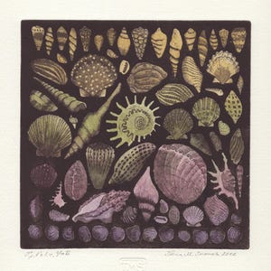 Souvenir / Stampa originale all'acquaforte, acquatinta, incisione, conchiglie, collezione di spiagge