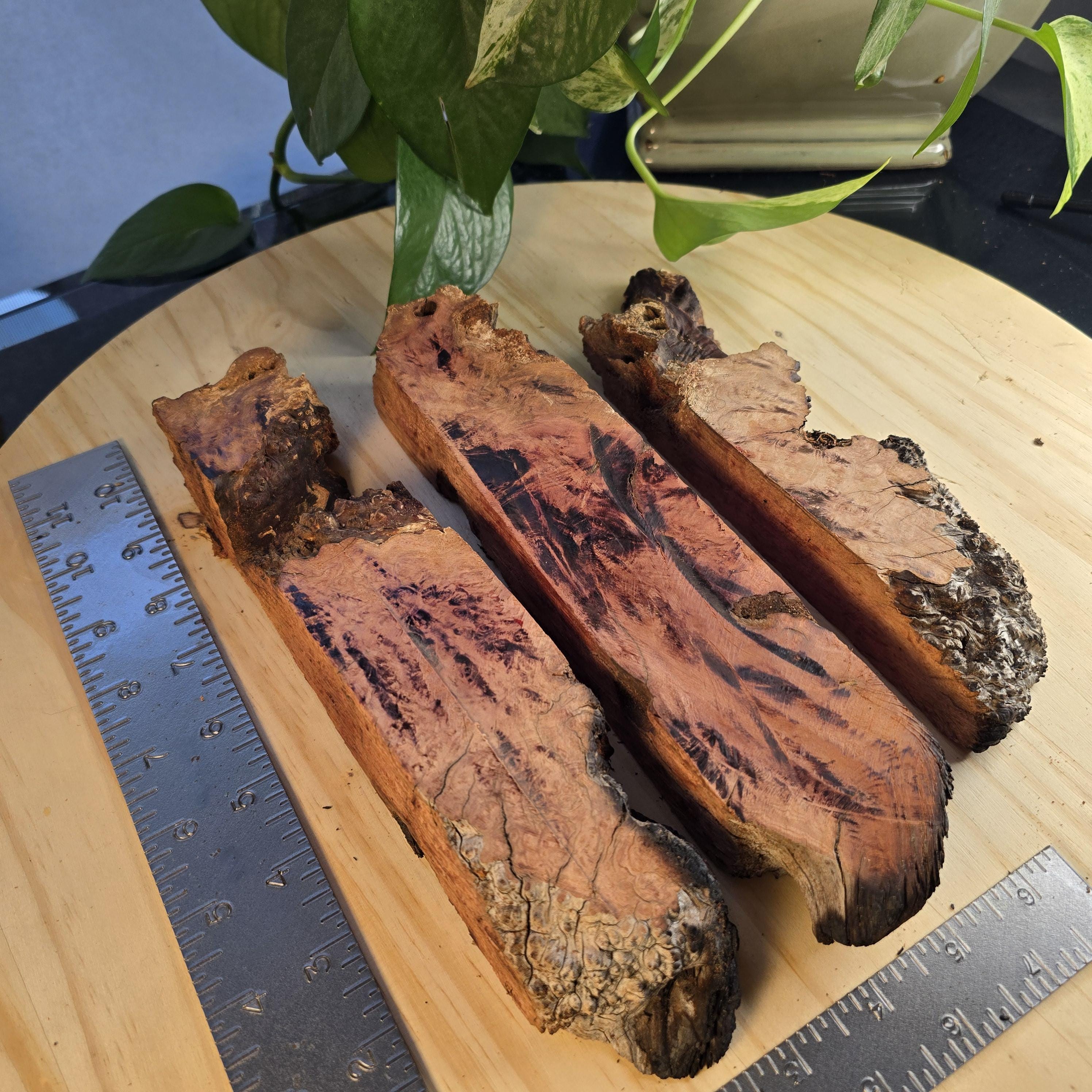 Manzanita Hobby Wood Slabs| Wood Burl Slices | Whole Fire Kiln ...