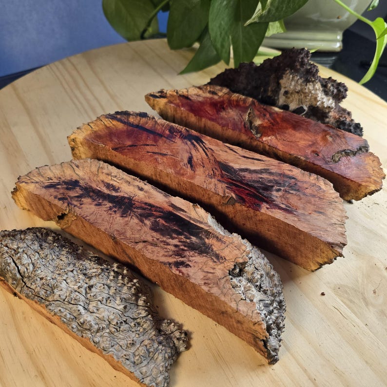 Manzanita Hobby Wood Slabs| Wood Burl Slices | Whole Fire Kiln ...