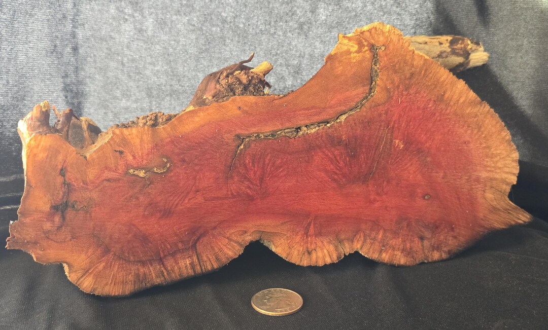 Manzanita Burl Slab | Wood Burl Slices | Whole Fire Kiln Manzanita ...