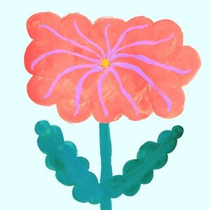 Pink Amaryllis illustration