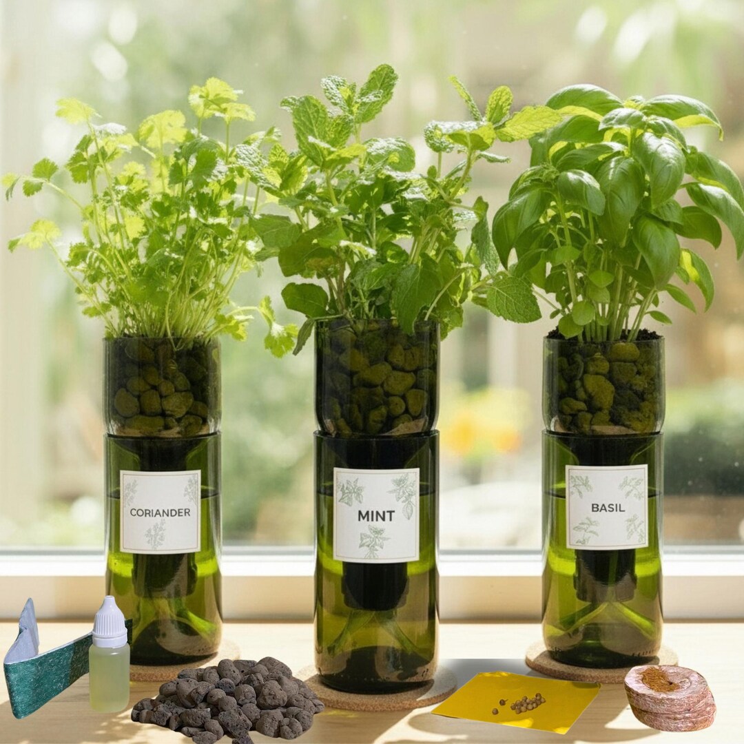 Indoor Herb Garden Grow Your Own Kit | Wine Bottle Herb Garden Kit ...