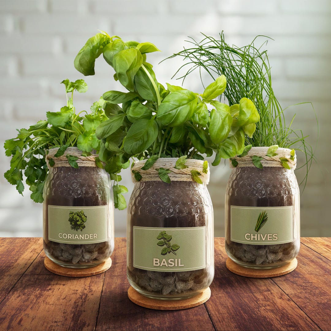 Herb Growing Kit Gift Set | Grow Your Own Herbs Kit for Beginners ...