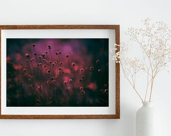 This Is Not The End – Fine Art Nature Photography Print for Emotional or Moody Decor