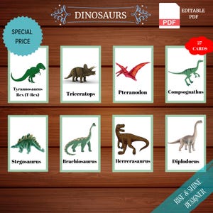 27 Dinosaurier Karteikarten | Lern- und Druckkarten | Dinosaurier-Lernmaterial für Kinder | Vorschul- und Elementaraktivitäten