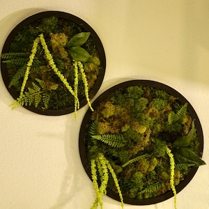 Moss Wall Art