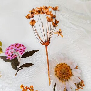May include: A collection of pressed flower stickers featuring a variety of dried blooms. The stickers include a cluster of pink flowers, a daisy with a yellow center, and a tall, dried flower with brown seed heads. The background is a white, textured fabric.