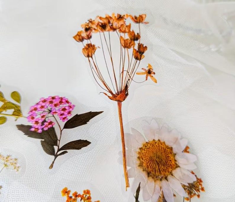 May include: A collection of pressed flower stickers featuring a variety of dried blooms. The stickers include a cluster of pink flowers, a daisy with a yellow center, and a tall, dried flower with brown seed heads. The background is a white, textured fabric.