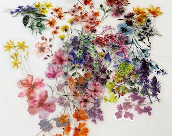 Pack d'autocollants fleurs transparentes fleurs sauvages, autocollants botaniques aquarelles mats en PVC imperméables pour journaux, agendas, ordinateurs portables, albums de scrapbooking