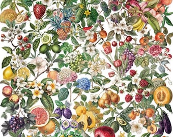 Vintage Botanical Sticker Pack, Cottagecore Fruit Floral Stickers, Aesthetic Nature Journal Scrapbook Decals