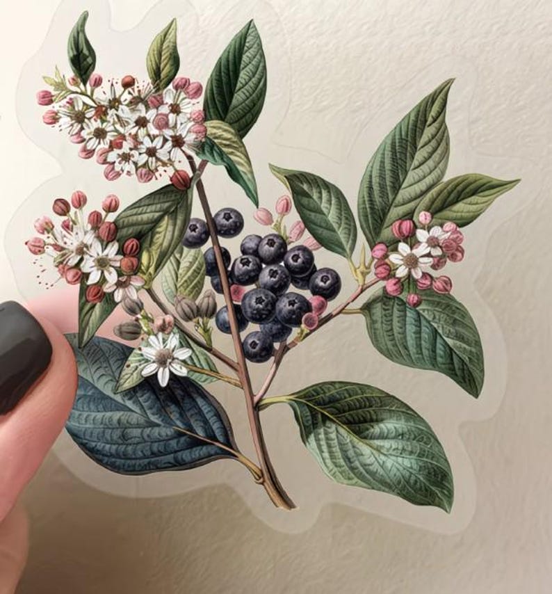 Vintage Botanical Sticker Pack, Cottagecore Fruit Floral Stickers ...