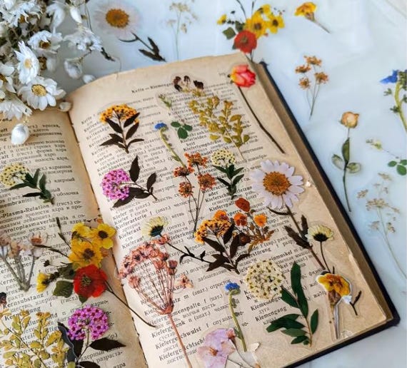 Pressed Flower Stickers Pack, Botanical Wildflower Vinyl Decals for Journals, Scrapbooks & Water Bottles, Cottagecore Nature Aesthetic Gift