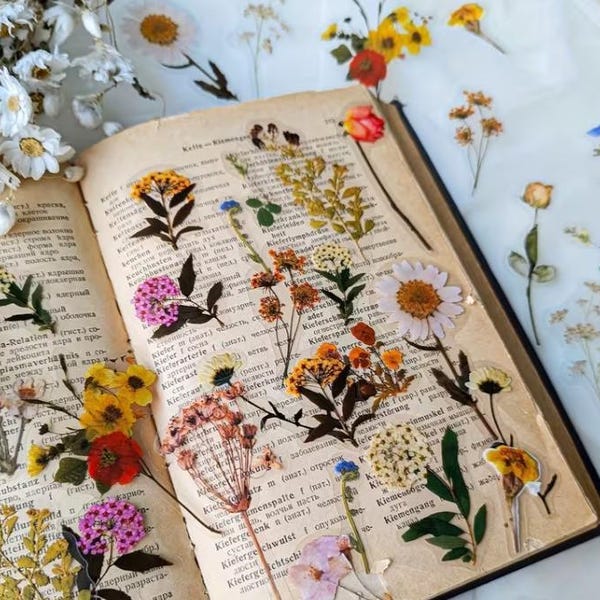 Pressed Flower Stickers Pack, Botanical Wildflower Vinyl Decals for Journals, Scrapbooks & Water Bottles, Cottagecore Nature Aesthetic Gift