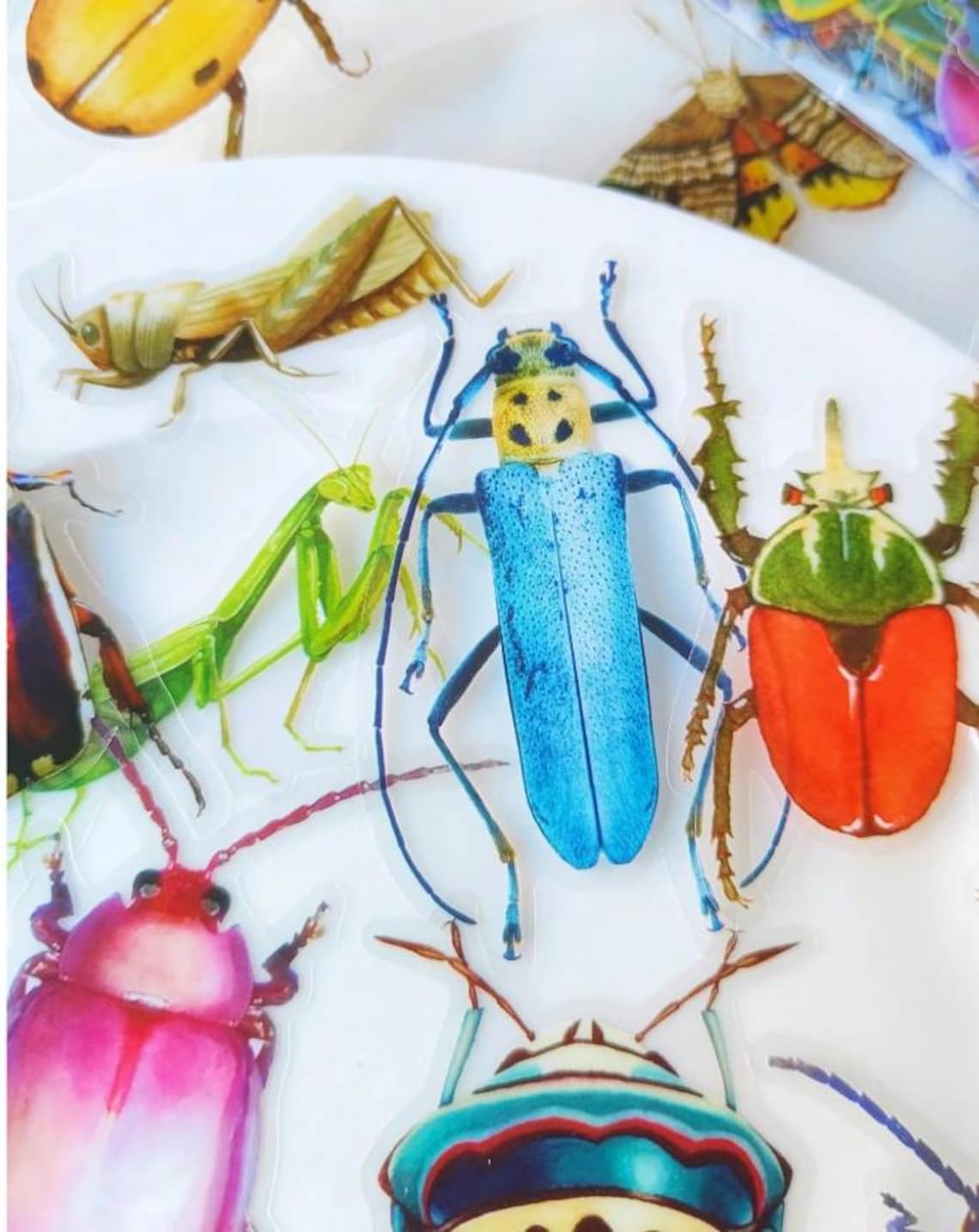 Journal Insect Stickers Clear Realistic Insect Stickers Pack, Large 2-4