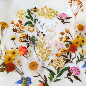 May include: A collection of dried flowers in various colors, including yellow, orange, red, pink, and white, arranged on a white surface. The image showcases a variety of floral types, with green leaves interspersed throughout the arrangement.
