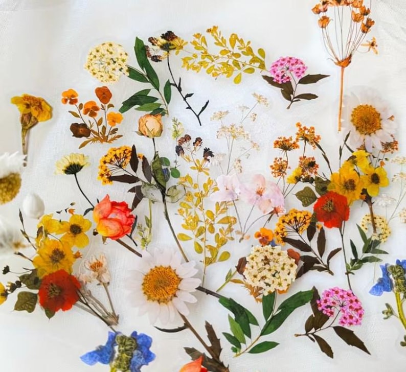 May include: A collection of dried flowers in various colors, including yellow, orange, red, pink, and white, arranged on a white surface. The image showcases a variety of floral types, with green leaves interspersed throughout the arrangement.