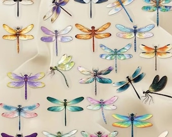 Dragonfly Sticker Pack, Watercolor Dragonfly Stickers, Transparent Nature Stickers for Journals, Laptop, Scrapbook, Boho Aesthetic Decals