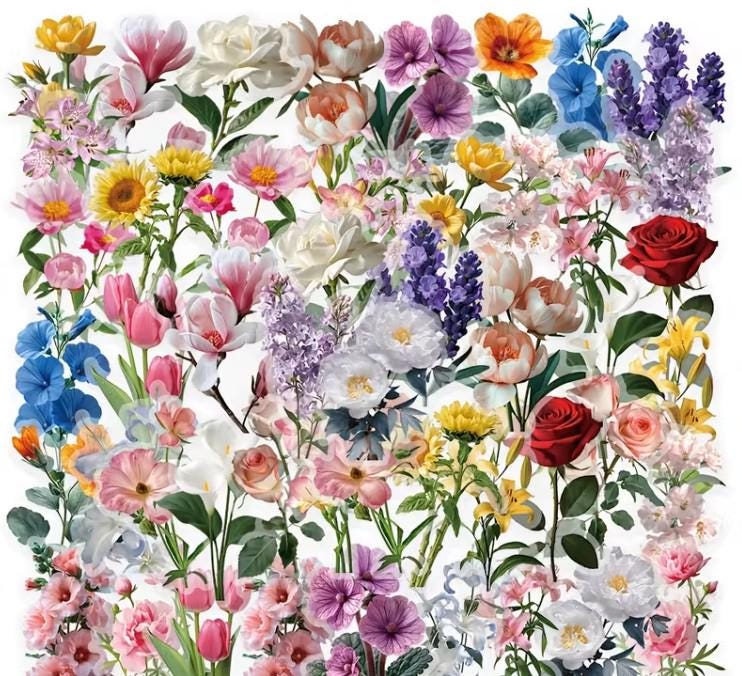 Transparent Floral Sticker Pack – Botanical Flower PET Stickers, Spring ...