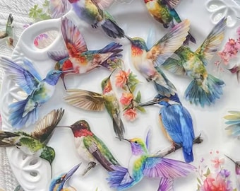 Transparent Hummingbird Stickers Watercolor Bird Sticker Pack Colorful Bird Decals for Journals Laptops Water Bottles