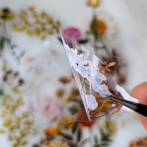 May include: A close-up of a transparent sticker with a butterfly wing design. The wing features light blue and brown watercolor-style details. The sticker is held by tweezers, with a blurred background of dried flowers.