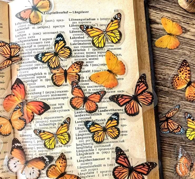Transparent Amber Butterfly Stickers, Clear Decal Butterfly Sticker ...