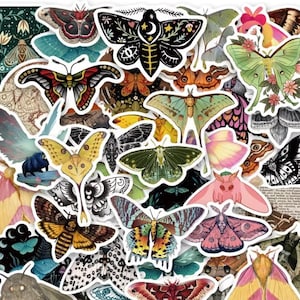 May include: A collection of colorful moth and butterfly stickers. The stickers feature various designs, including detailed wings, floral accents, and celestial motifs. The color palette includes shades of green, pink, yellow, and black.