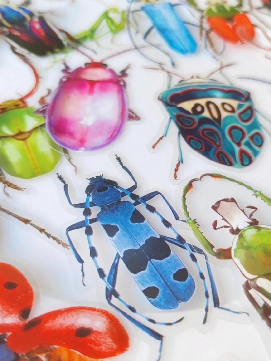 Clear Realistic Insect Stickers Pack, Large 2-4