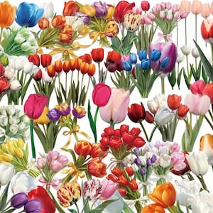 May include: A vibrant collection of tulips in various colors, including red, pink, yellow, orange, white, and purple. Some tulips are arranged in small bouquets tied with ribbons. The image showcases a variety of tulip types and colors.
