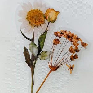 May include: A clear sticker featuring pressed flowers. A large white daisy with a yellow center and a small yellow rose are on the left. On the right is a cluster of small, dried orange flowers.