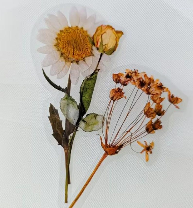 May include: A clear sticker featuring pressed flowers. A large white daisy with a yellow center and a small yellow rose are on the left. On the right is a cluster of small, dried orange flowers.
