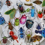 Bug Stickers