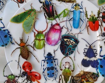 Lot d'autocollants transparents réalistes pour insectes, grands autocollants en PVC de 2 à 4 po. pour journaux, agendas, ordinateurs portables, albums de coupures, projets scientifiques, STEM