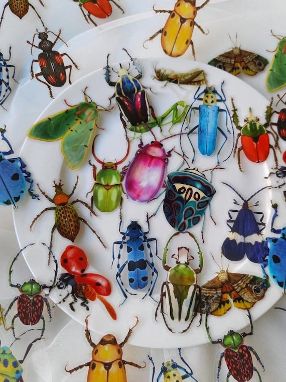 Clear Realistic Insect Stickers Pack, Large 2-4" PVC Bug Decals for Journals, Planners, Laptops, Scrapbooks, Science Projects, STEM