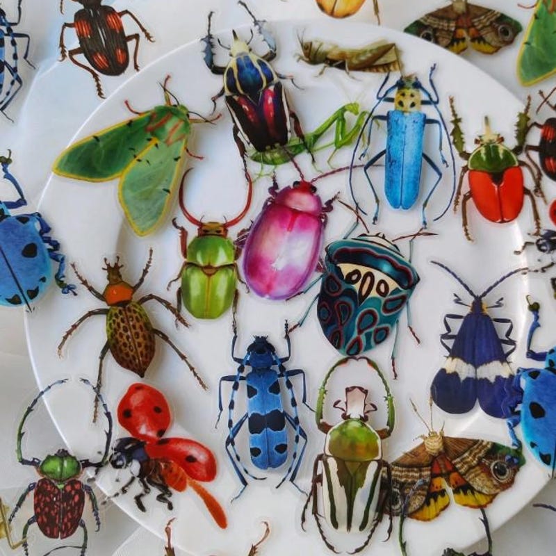 Insect Stickers - Etsy