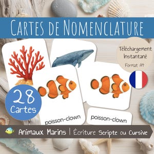28 Cartes de Nomenclature en français | Thème Animaux Marins Océan | Images classifiées | Cartes Montessori en 3 Parties | PDF à télécharger